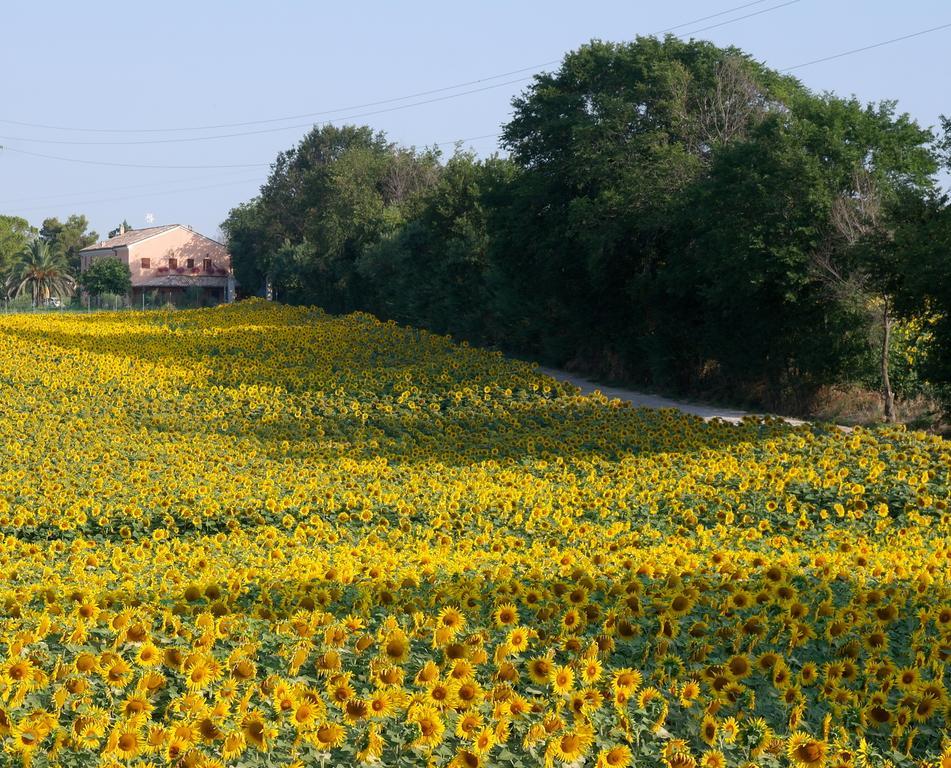 Bed and Breakfast Fontebella Монтемарчіано Екстер'єр фото